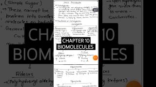 Class 12th BiomoleculesCarbohydrateschemistry cbse class12 neet viralvideo shorts [upl. by Warren]