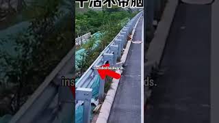 Chinas dangerous corner cutting [upl. by Esiom]