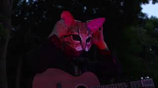 Live Performance of quotDay For Desideriumquot by Jesse The Ocelot [upl. by Stacey]