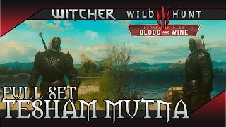 The Witcher 3 Blood and Wine  Tesham Mutna Armor Set Vampiric Aura Location amp Showcase [upl. by Adnovaj465]