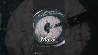 malai se Makhan nikaalne ka sahi tarika malai short video [upl. by Sirrap931]