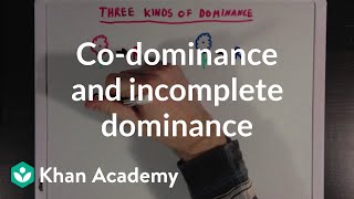 Codominance and Incomplete Dominance  Biomolecules  MCAT  Khan Academy [upl. by Lladnar]