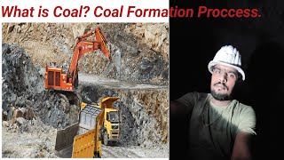 What is Coal  Coal Formation Proccess Class1 [upl. by Ykcim399]