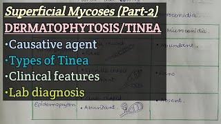 Dermatophytosis  Causative agent  Types of Tinea  Clinical Feature  Lab diagnosis [upl. by Standley704]