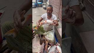 Amezig giant Pangas Fish cutting skills🐟 in Local fish Market Part 556 shorts [upl. by Most109]