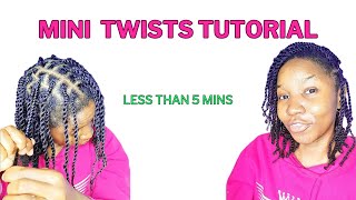 How to do Mini Twists on Natural Hair  Mini Twists on 4c Hair naturalhair minitwists [upl. by Janene]