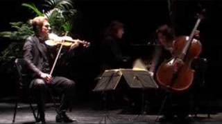 Schubert à Tautavel avec le Trio Capuçon [upl. by Ziladnerb]