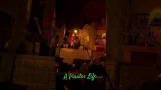 A pirates life for me pirates disney life fyp foryou viralvideo viral epic florida funny [upl. by Nailij490]