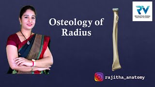 Osteology of Radius Viva Voce Anatomy by Dr Rajitha Vanga [upl. by Ettevad]