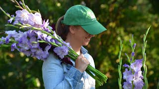 Succession Planting Cut Flowers  A Complete Guide  Northlawn Flower Farm [upl. by Nellir]