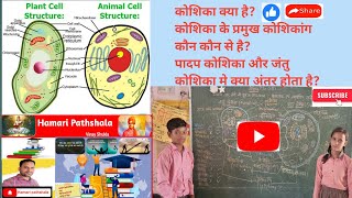 कोशिकाThe cellNMMSE 2024Plant and animal cell [upl. by Rabkin]