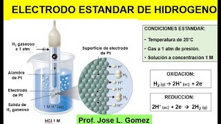 ELECTRODO ESTANDAR DE HIDROGENO Y POTENCIALES DE REDUCION [upl. by Prince]