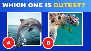 Guess The Underwater Wonders 🌊🫧🐠  Sea Quiz [upl. by Allwein]