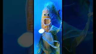 It’s Corn Corn ItsCorn DiscountDentist EmergencySurgery FruitSurgery Shorts [upl. by Neille]