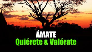 Ámate Quiérete y Valórate ¦ Gratitud Frases Reflexiones Versos Reflexión [upl. by Antons544]