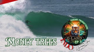 INCREDIBLE GLAND  SURF TRIP GLAND Ep 3 4K [upl. by Jerome765]