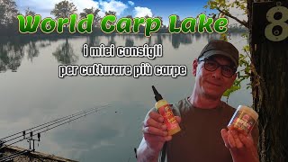 World Carp Lake  i miei consigli per catturare più carpe [upl. by Asselim266]