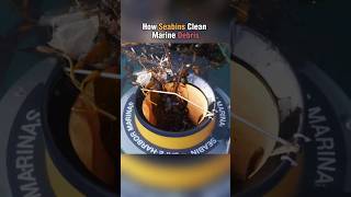 How Seabins clean marine debris cleaning invention trashbin popularization [upl. by Lathrop65]