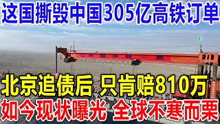 这国撕毁中国305亿高铁订单！北京追债后 只肯赔810万！如今现状曝光， 全球不寒而栗！ [upl. by Adnirem]