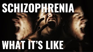 What its like to have schizophrenia [upl. by Boyd]