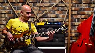 Stevie Wonder  Sir Duke Bass Cover [upl. by Michelina]