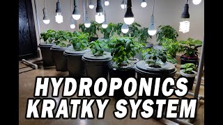 Indoor Gardening with Hydroponics Kratky SystemPepper Plants amp Parsley in Hydroponic Kratky System [upl. by Nosduh666]