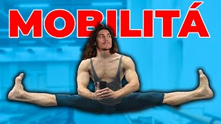 LA MIA ROUTINE DI MOBILITA ARTICOLARE PREALLENAMENTO 🤸🏽 [upl. by Haakon]