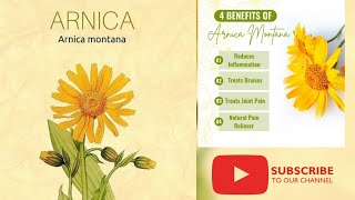 Arnica Montana  Materia Medica Drug picture Homoeopathic medicine in Hindi  Clinical tips arnica [upl. by Aicileb137]