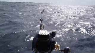 Deep Dropping Chub Cay Bahamas 2016 [upl. by Daphene166]