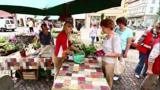 Maiblumenfest in Wittenberg [upl. by Ynaffi]