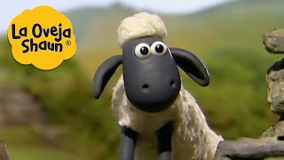 La Oveja Shaun 🐑 Shaun en una aventura 🐑 Dibujos animados para niños [upl. by Onin]