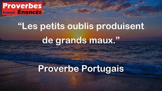 Proverbe Portugais  Les petits oublis produisent de grands maux [upl. by Billye]