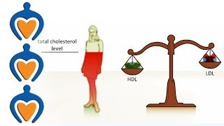 Cholesterol  what is it and how can you prevent high cholesterol [upl. by Spanos]