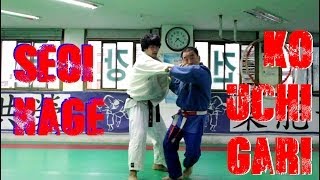 Seoi Nage and Ko Uchi Gari Combination by Korean 7th Dan HD [upl. by Fesoj]