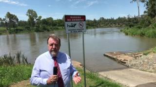 Brisbane River Shark Warning [upl. by Bullen]