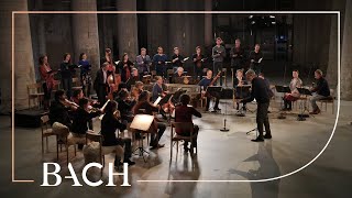 Bach  Cantata Es ist dir gesagt Mensch was gut ist BWV 45  Rademann  Netherlands Bach Society [upl. by Oz]