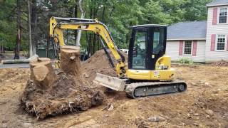 Cat 3055e2 Loading Huge Stump On Trailer [upl. by Ahsin]