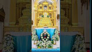 Happy Feast Of Ourlady Of Rosary Church Navelim happyfeast 2024 church feastday shorts goa [upl. by Enivid]