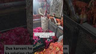 mira datar dargah sharif New qawwali whatsapp 😍status video 📷 dargah sharif contact 917777961184 [upl. by Nhar567]