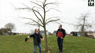 Baumpflege ohne Leiter  Tipps zum richtigen Baumschnitt  gartenHELDEN 166 [upl. by Recnal]