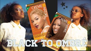 How To Dye Natural Hair Crème of Nature Hair Dye NO BLEACH [upl. by Ocirred763]