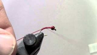 Fly Tying with Dave Tungsten Blood Midge [upl. by Evante]