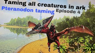 Taming all creatures in ark episode 4pteranodon taming [upl. by Lenehc]