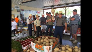 Mennonite Produce Auction  Lyndonville NY [upl. by Rose90]