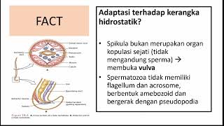 BSA NEMATODA [upl. by Eniloj]