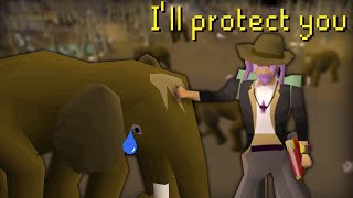 I OPENED a WILDERNESS MAMMOTH SANCTUARY on Runescape [upl. by Aseela]