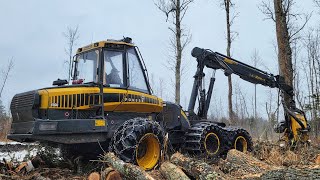 NO CLUE What Im Doing Operating a Logging Harvester in Michigan [upl. by Gati]