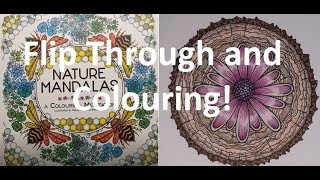 Adult Colouring Book Flip Through and Colour  Nature Mandalas by Melpomeni Chatzipanagiotou [upl. by Namreh87]