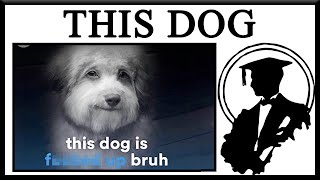 This Dog Is Fcked Up Bruh But Where Did He Come From [upl. by Imuy136]