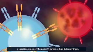 CAR TCell Therapy How Does It Work [upl. by Rollo333]